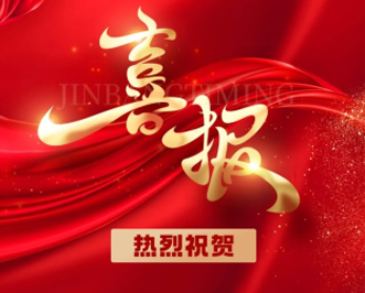 喜报|河马体育汽车荣登2024中国民营汽车流通行业百强榜、社会责任百强榜